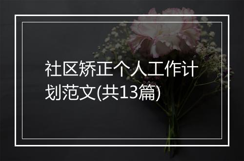 社区矫正个人工作计划范文(共13篇)