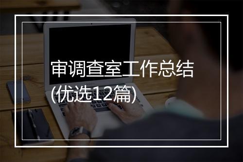 审调查室工作总结(优选12篇)