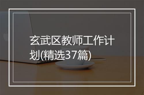 玄武区教师工作计划(精选37篇)