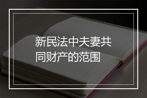 新民法中夫妻共同财产的范围