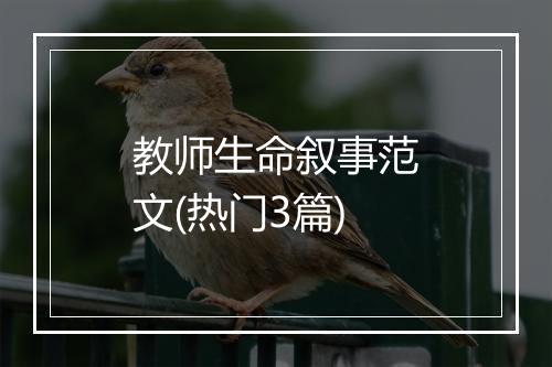 教师生命叙事范文(热门3篇)