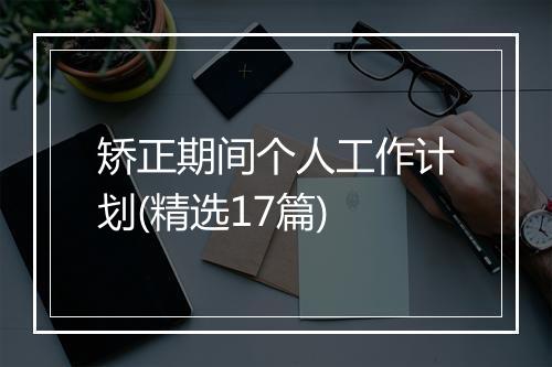 矫正期间个人工作计划(精选17篇)