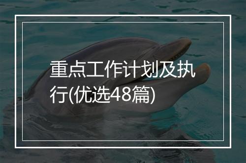 重点工作计划及执行(优选48篇)
