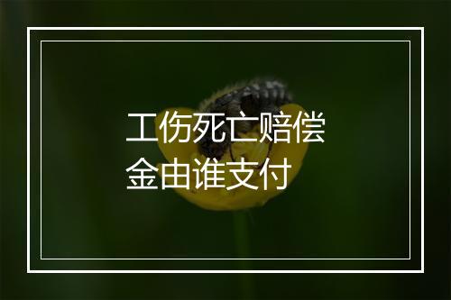 工伤死亡赔偿金由谁支付