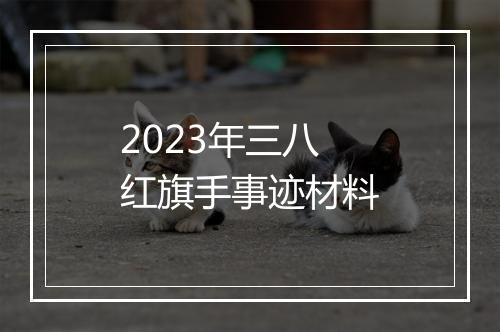 2023年三八红旗手事迹材料