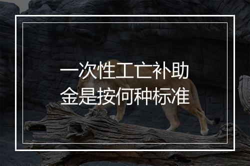 一次性工亡补助金是按何种标准