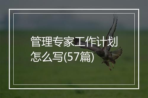 管理专家工作计划怎么写(57篇)