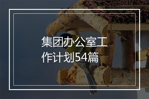 集团办公室工作计划54篇