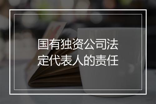 国有独资公司法定代表人的责任