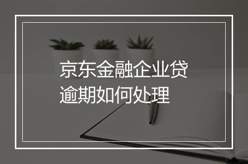 京东金融企业贷逾期如何处理