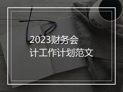 2023财务会计工作计划范文