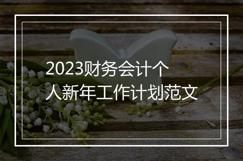 2023财务会计个人新年工作计划范文