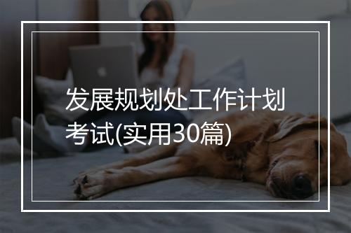 发展规划处工作计划考试(实用30篇)