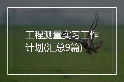 工程测量实习工作计划(汇总9篇)