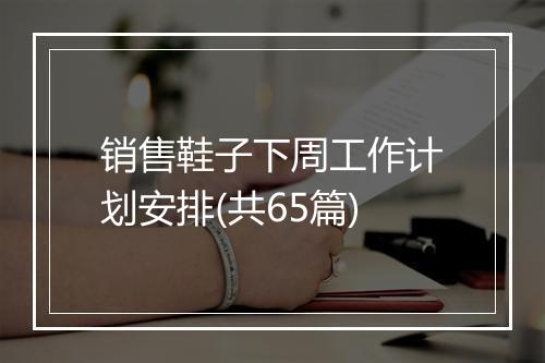 销售鞋子下周工作计划安排(共65篇)