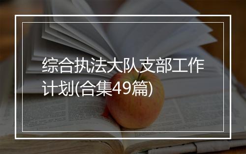 综合执法大队支部工作计划(合集49篇)