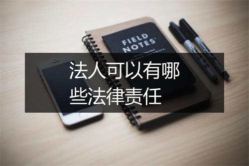 法人可以有哪些法律责任