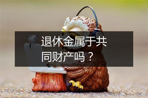 退休金属于共同财产吗？
