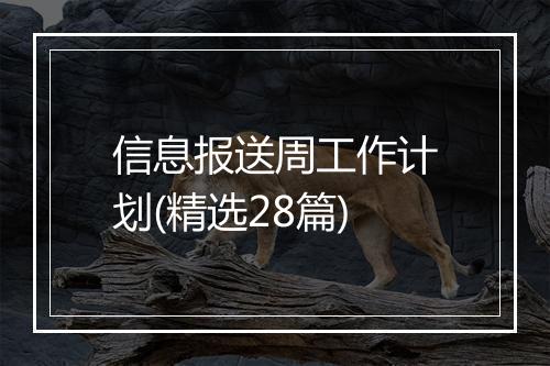 信息报送周工作计划(精选28篇)