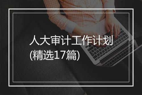 人大审计工作计划(精选17篇)