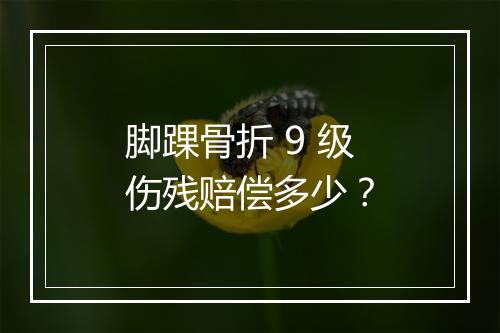脚踝骨折 9 级伤残赔偿多少？