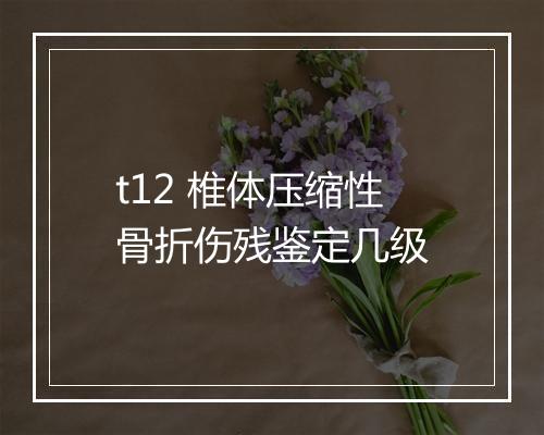 t12 椎体压缩性骨折伤残鉴定几级