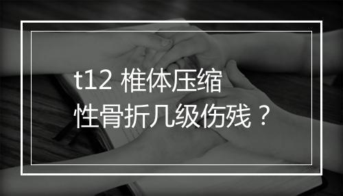 t12 椎体压缩性骨折几级伤残？