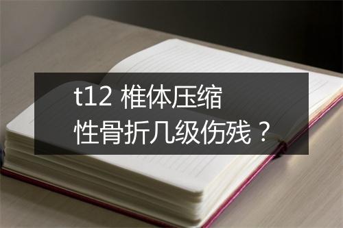 t12 椎体压缩性骨折几级伤残？