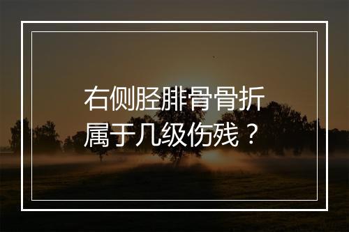 右侧胫腓骨骨折属于几级伤残？