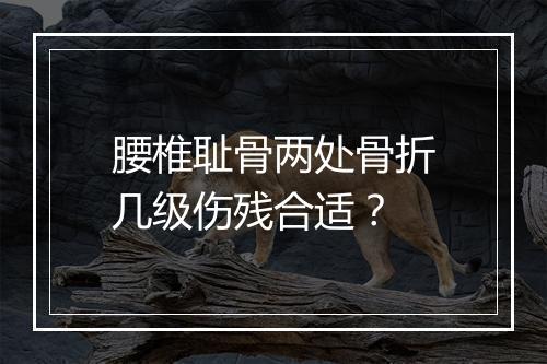 腰椎耻骨两处骨折几级伤残合适？