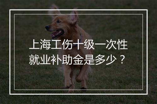 上海工伤十级一次性就业补助金是多少？