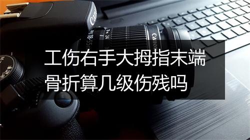 工伤右手大拇指末端骨折算几级伤残吗