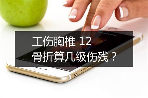 工伤胸椎 12 骨折算几级伤残？