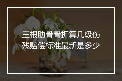 三根肋骨骨折算几级伤残赔偿标准最新是多少