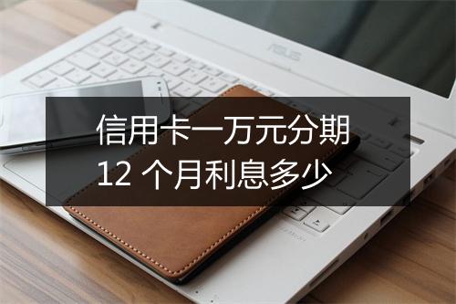信用卡一万元分期 12 个月利息多少