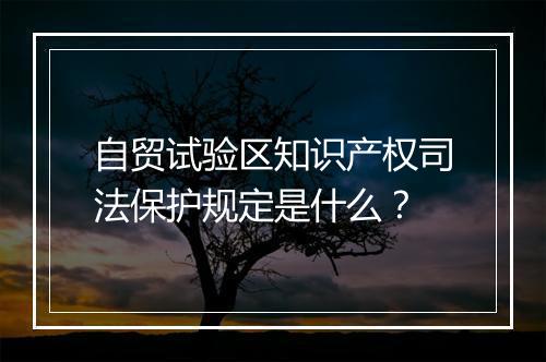 自贸试验区知识产权司法保护规定是什么？