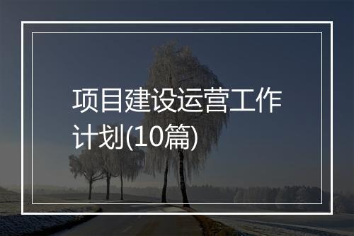 项目建设运营工作计划(10篇)