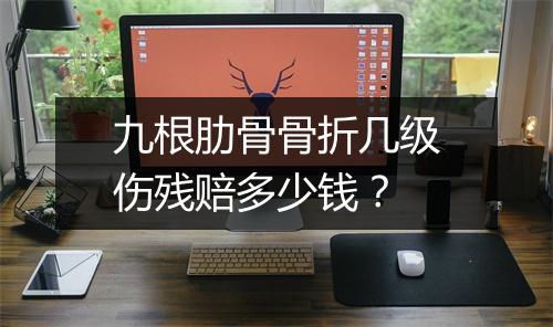 九根肋骨骨折几级伤残赔多少钱？