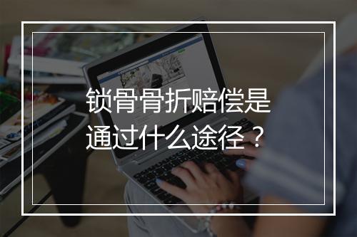 锁骨骨折赔偿是通过什么途径？