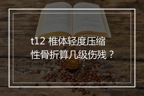 t12 椎体轻度压缩性骨折算几级伤残？
