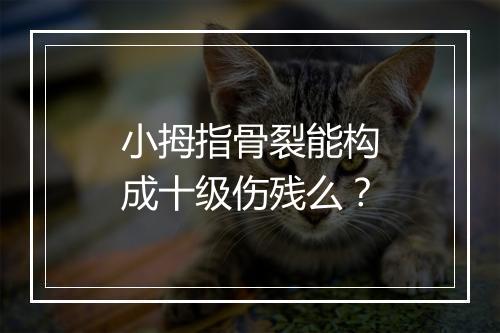 小拇指骨裂能构成十级伤残么？