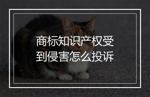 商标知识产权受到侵害怎么投诉