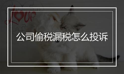 公司偷税漏税怎么投诉