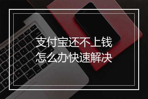 支付宝还不上钱怎么办快速解决