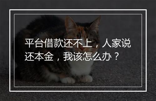 平台借款还不上，人家说还本金，我该怎么办？