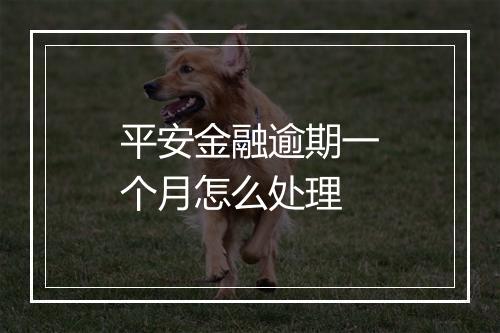 平安金融逾期一个月怎么处理