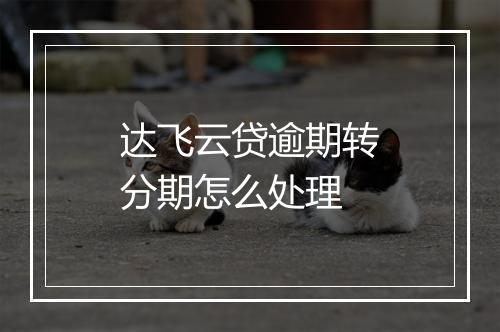 达飞云贷逾期转分期怎么处理