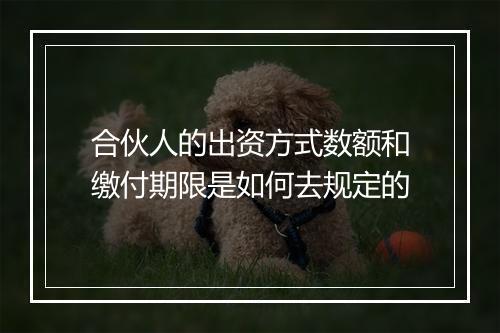 合伙人的出资方式数额和缴付期限是如何去规定的