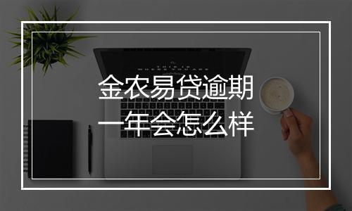金农易贷逾期一年会怎么样