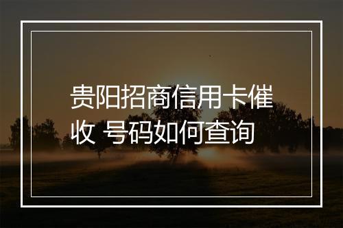 贵阳招商信用卡催收 号码如何查询
